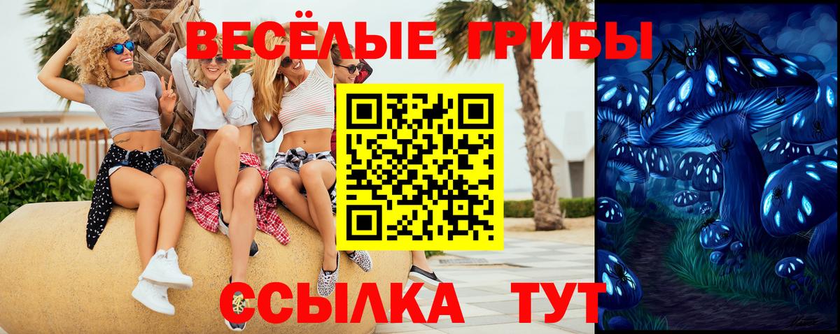 Краснокаменск  Галлюциногенные грибы Psilocybine cubensis  Вход с VPN 